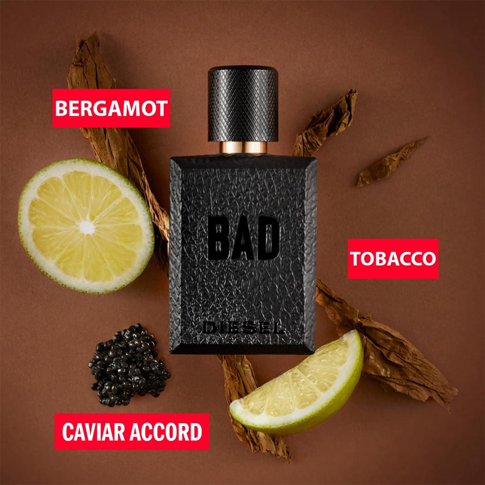 Diesel Bad Eau de Toilette Spray 75 ml for Men