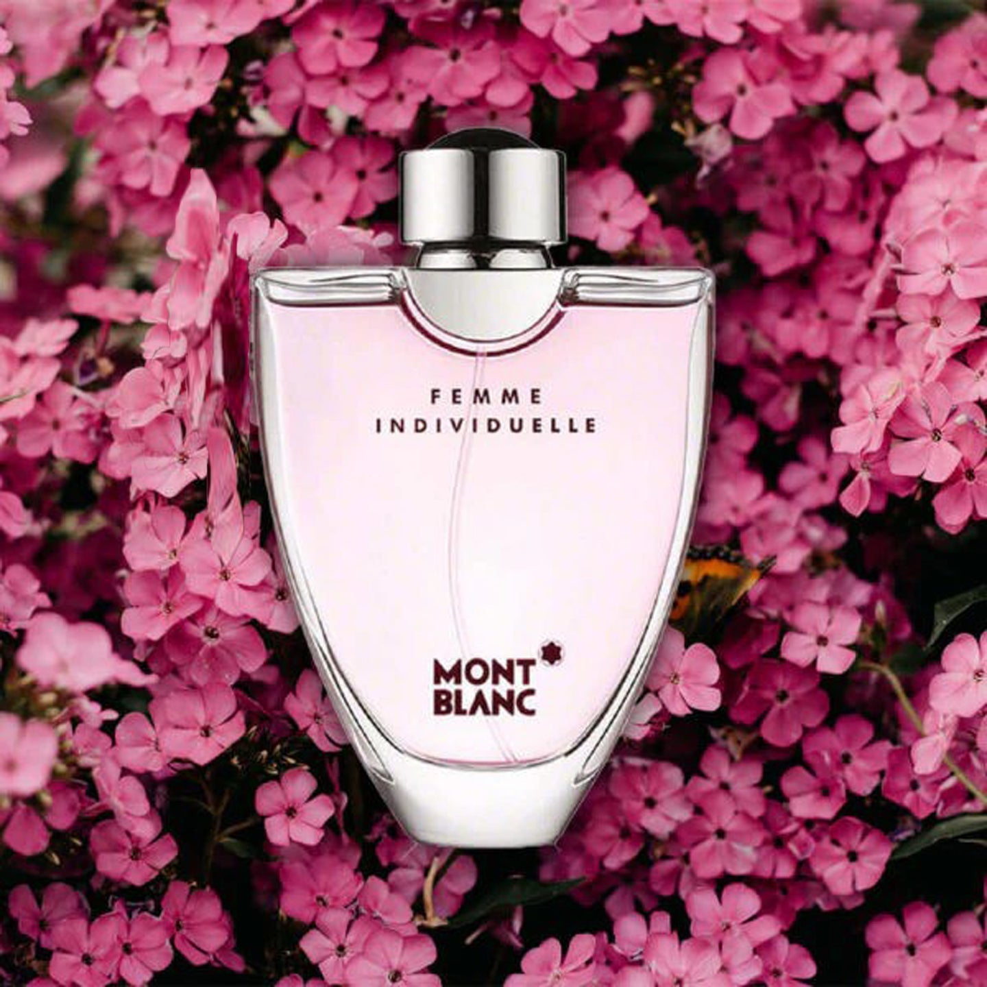 Mont Blanc Femme Individuelle